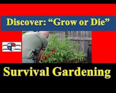 Prepper Garden: Grow or Die Survival Gardening (Today)