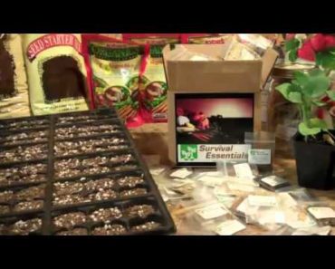 Prepper's Garden Plans – Homesteading – Seeds