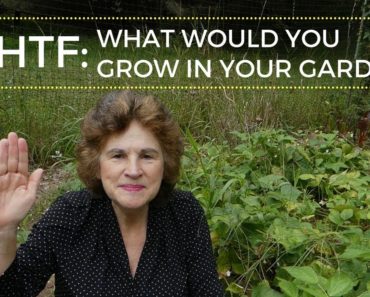 SHTF: What Would You Grow In Your Garden?
