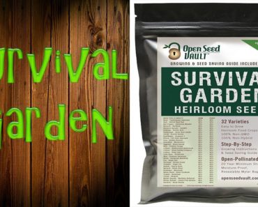 Survival Garden – (Prepper Survival Garden) – Seeds For Survival Gardening
