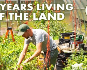 13 Years Living Off the Land – Man Shares REAL Homestead Experience