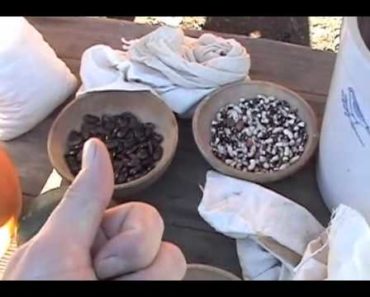 Prepper Survival Garden