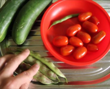 Prepper Garden 2016