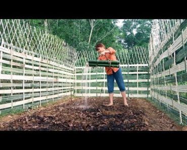 Survival Skills: How to Grow a organic vegetable garden – Part2