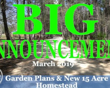 BIG ANNOUNCEMENT: Garden Plans & New 15 Acre Homestead Plans (March 2019)