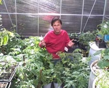 Survival Gardening Tips: Planting an Edible Food Garden at Home