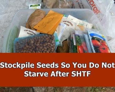 Stockpiling Seeds For Doomsday / SHTF
