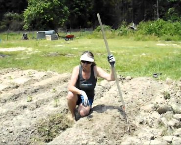 Survival Gardening