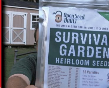 ✔️ Unlimited Survival Food – Open Seed Vault – Review