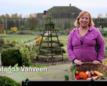 Prepper Survival Garden – Learn All about Prepper Survival Garden Techniques