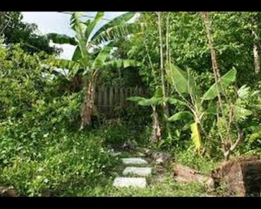 Survival Gardening with David The Good Pt1