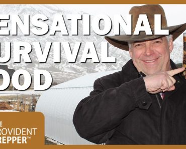 Oats: A Sensational Survival Storage Food