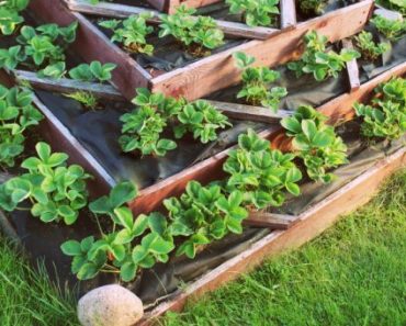 How To Use Small Spaces For Your Container Garden