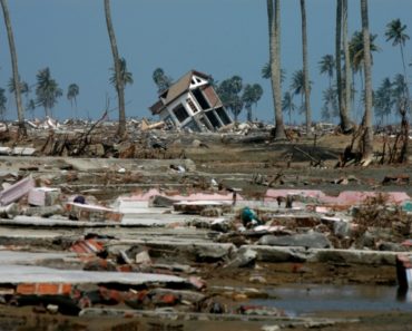 [Survival Basics] How To Survive An Impending Tsunami