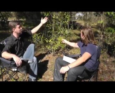 David The Good – Grow or Die – The true capabilities of survival gardening