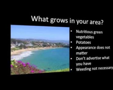 How to start a Survival Garden for survival food