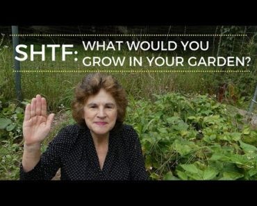 SHTF: What Would You Grow In Your Garden?