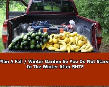 Planning a Fall / Winter SHTF Survival Garden – Don’t Starve