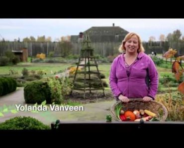 Prepper Survival Garden – Learn All about Prepper Survival Garden Techniques