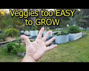 5 Vegetables that are too EASY to GROW in the Garden