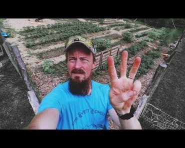 If I Had To Pick ONLY Three Crops For A Survival Garden…