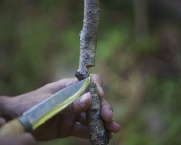 Wilderness Survival Skills From Your Sofa