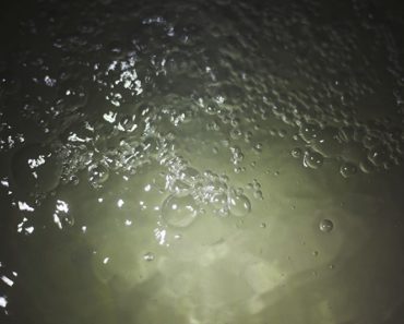 We Need to Talk About the Cape Town Drought & Human Stupidity