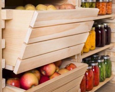 The Root Cellar – Cheap Refrigeration