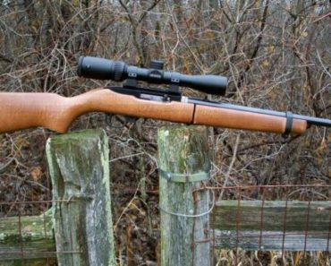 The 5 Very Best Rifles For Rural Home Defense Off The Grid News