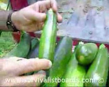 Gardening for the Survivalist