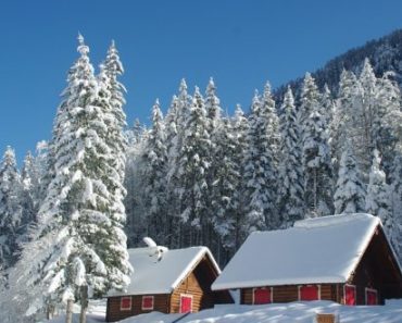 Homestead In Winter – 4 Skills You Should Know First