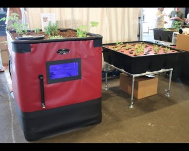Endless fish & vegetables with aquaponics : Prepper Fest Arizona