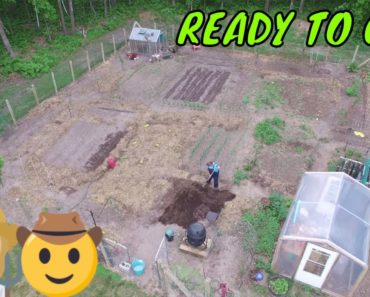NORTH COUNTRY SURVIVAL GARDENS PLANTED ~ TOO MUCH?