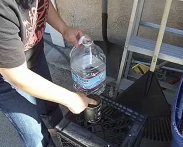 Plant some Food in Can – Prepper Tips