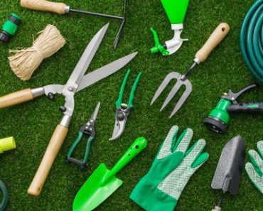 Have These 20 Essential Items Before Going Off-The-Grid