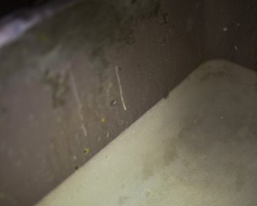 How to Purify Contaminated Water
