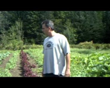 Survival Garden Secrets