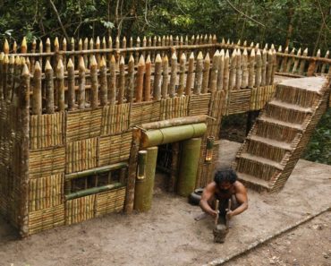 Building The Most Beautiful Survival House Villa By Bushman Skills