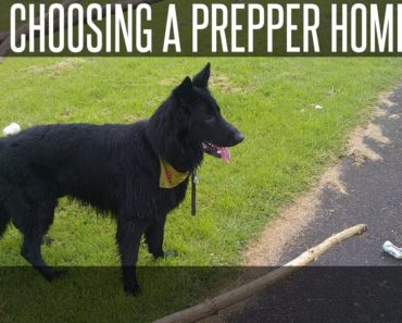 Tips: Picking A New Prepper Home, My Thoughts On My Next Move