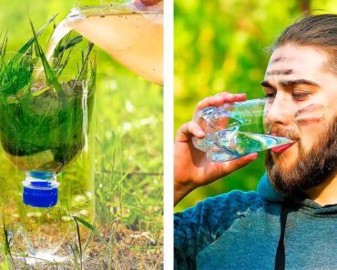 35 GENIUS HACKS TO SURVIVE IN WILDLIFE