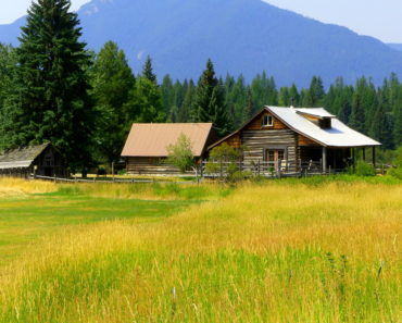 22 Essential Tools You Need To Live Off-Grid