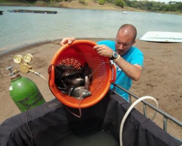 Getting Fishy | Doomsday Preppers