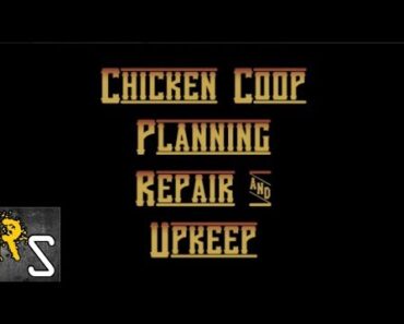 Prepper Chicken Coop Planning, Repair and Upkeep