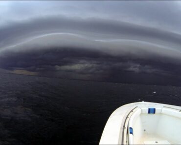I Didn't Think We Would Survive… (Epic Storm)