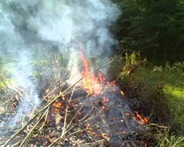 Making wood ash for garden soil – prepper survival
