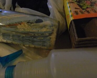 SHTF FOOD CRISIS SURVIVAL GARDEN FREE  SEED VAULT PREPPER LOVE WW3 GIVEAWAY