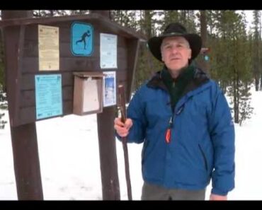 Survive this:  Tips to Help Keep Children Safe Outdoors