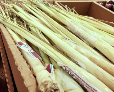 Prepping Lemongrass • How to – Tips & Tricks #27