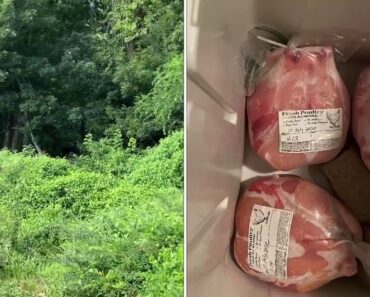 Emergency Food Pantry /Homestead Prepper /Emergency Prepping/TommyBites Homestead