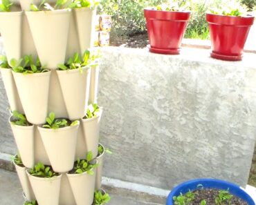 Prepper secret…Less than 15 cents will help you eat healthier.